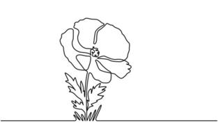 one line continuous poppy flower drawing with circle on striped background in minimal style vector