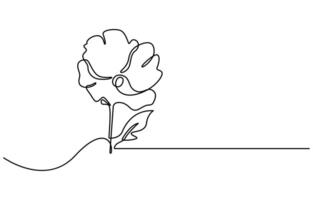 poppy flower one line continuous drawing vector