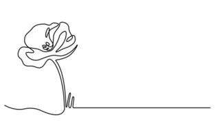 continuous line art drawing Poppy flowers vector