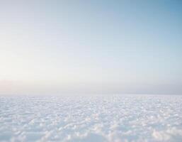 It features a pretty scene with a cold, white background. photo