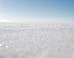With a stark white background, it's a clever scene. photo