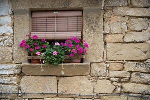 Stone facade with window with geraniums photo