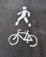 A close-up of a pavement showing white markings for pedestrians and cyclists. The markings clearly designate a shared path for walking and cycling, seen on an asphalt surface with scattered autumn photo