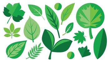 Various shapes and forms of green leaves set vector