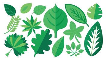Various shapes and forms of green leaves set vector