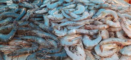 Pile of raw shrimp background. Fresh prawns display and ready to sell in traditional market photo