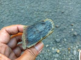 A hand holding a piece of rock on the ground photo