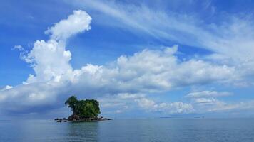 An island with a small tree on it in the ocean photo
