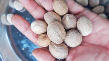A person holding a bowl of nuts in their hand photo