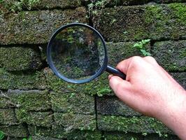 A person holding a magnifying glass over a stone wall photo