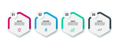 Hexagon 4 steps infographic. vector