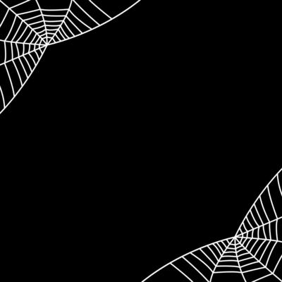 white spider webs on black background