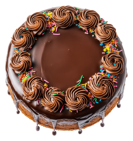 Delicious chocolate cake with colorful sprinkles png
