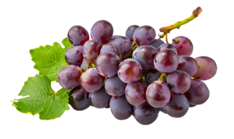 A bunch of grapes on a transparent background. Fruit graphic elements png
