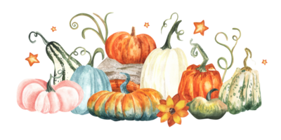 Watercolor pumpkins composition. Hand painted green, blue , white and orange pumpkins with leaves isolated on white background. Autumn harvest. Botanical illustration for design, print or stickers png