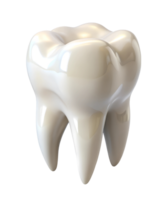 3D render of a Tooth png