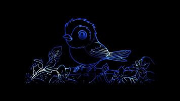 Neon frame effect, bird window on black background video
