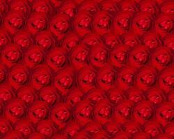 A large group of red roses in a pattern photo