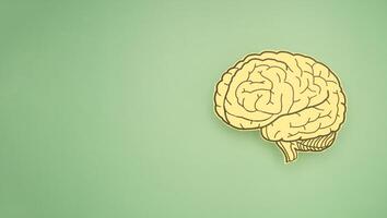 A brain shape made from paper on a green background. photo