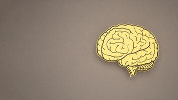 Brain shape made from paper on a gray background photo