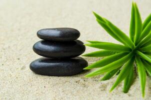 Black zen stone with plant background with customizable space for text or ideas photo