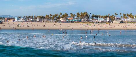Vibrant Venice Beach Scene with Palm Trees and Beachfront Buildings photo