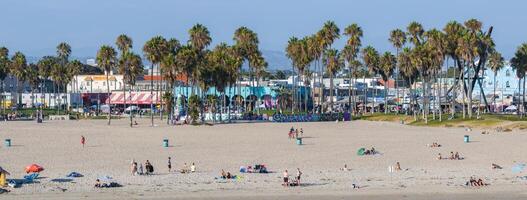 Venice Beach with Palm Trees and Urban Backdrop in Los Angeles photo