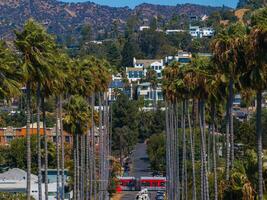 Vibrant Street in Hollywood District with Palm Trees and Hills photo