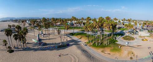 Panoramic Aerial View of Venice Beach with Palm Trees and Boardwalk photo