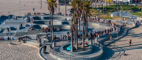 Venice Beach Skatepark with Skateboarders and Palm Trees photo