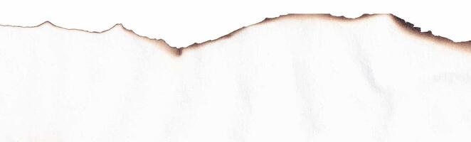 Burnt paper edges realistic illustration vector