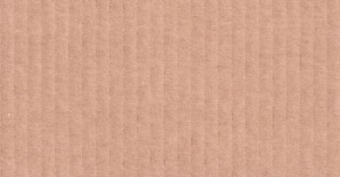Cardboard texture. Abstract brown background vector