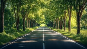 An empty road lined with trees and green grass photo