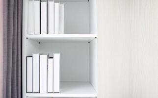 Library bookstore shelf white color education study learning reading literature wisdom genius university paper copy space background wallpaper business online information student object expertise row photo