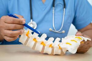 Doctor with lumbar vertebra bone skeleton and nerve model for treatment in the orthopedic department. photo