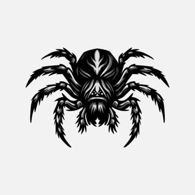 Tarantula spider hand drawn artwork illustration