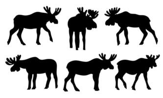 Moose Black Silhouette Set in Different Poses vector