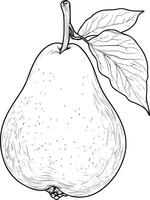 Simple pear line drawing vector