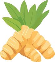 fresh ginger roots with green leaves vector
