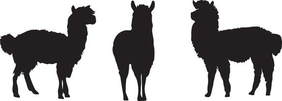 Alpaca and Llama Silhouettes Set Isolated vector
