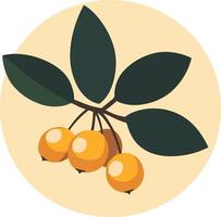 Golden Berries on Branch vector