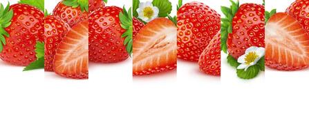 Strawberry isolated on white background with copy space, macro photo