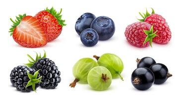 Forest berries collection isolated on white background photo