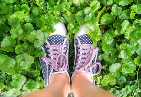 Female legs in polka dot sneakers on green grass. Top view. Copy spase. photo