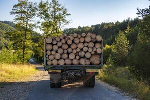 Tip truck transportation of sawn timber. The truck transports logs, on the road. photo