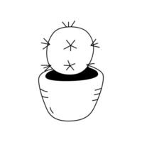 Illustration of a cactus in the doodle style. Isolate on a white background vector