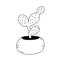Illustration of a Opuntia in the doodle style. Isolate on a white background vector