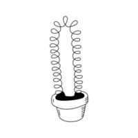 Illustration of a Euphorbia trigona in the doodle style. Isolate on a white vector