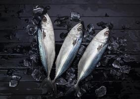 Fresh mackerel, natural seafood, with ice, arranged on a black wooden background. Top view. photo