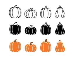 Set pumpkins Vegetables illustration on white isolated background, element for labels backdrop, packaging and greeting card. Line, glyph, orange color. vector